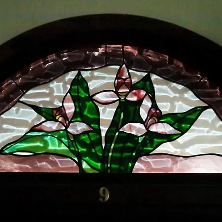 Majkin Salas Bed & Breakfast Palic